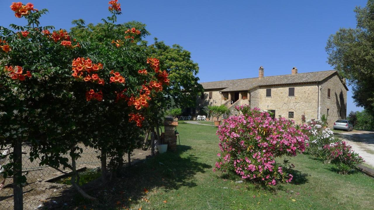 Agriturismo Podere Luchiano Amelia Zewnętrze zdjęcie