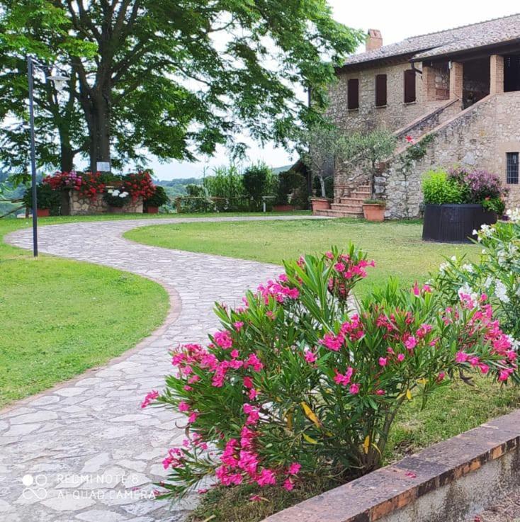 Agriturismo Podere Luchiano Amelia Zewnętrze zdjęcie