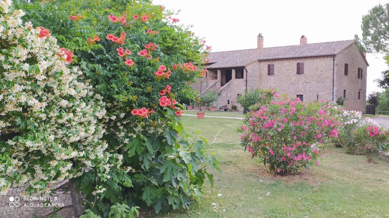 Agriturismo Podere Luchiano Amelia Zewnętrze zdjęcie