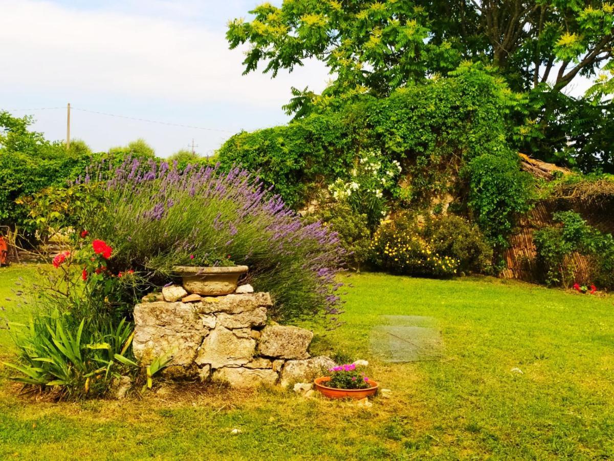 Agriturismo Podere Luchiano Amelia Zewnętrze zdjęcie