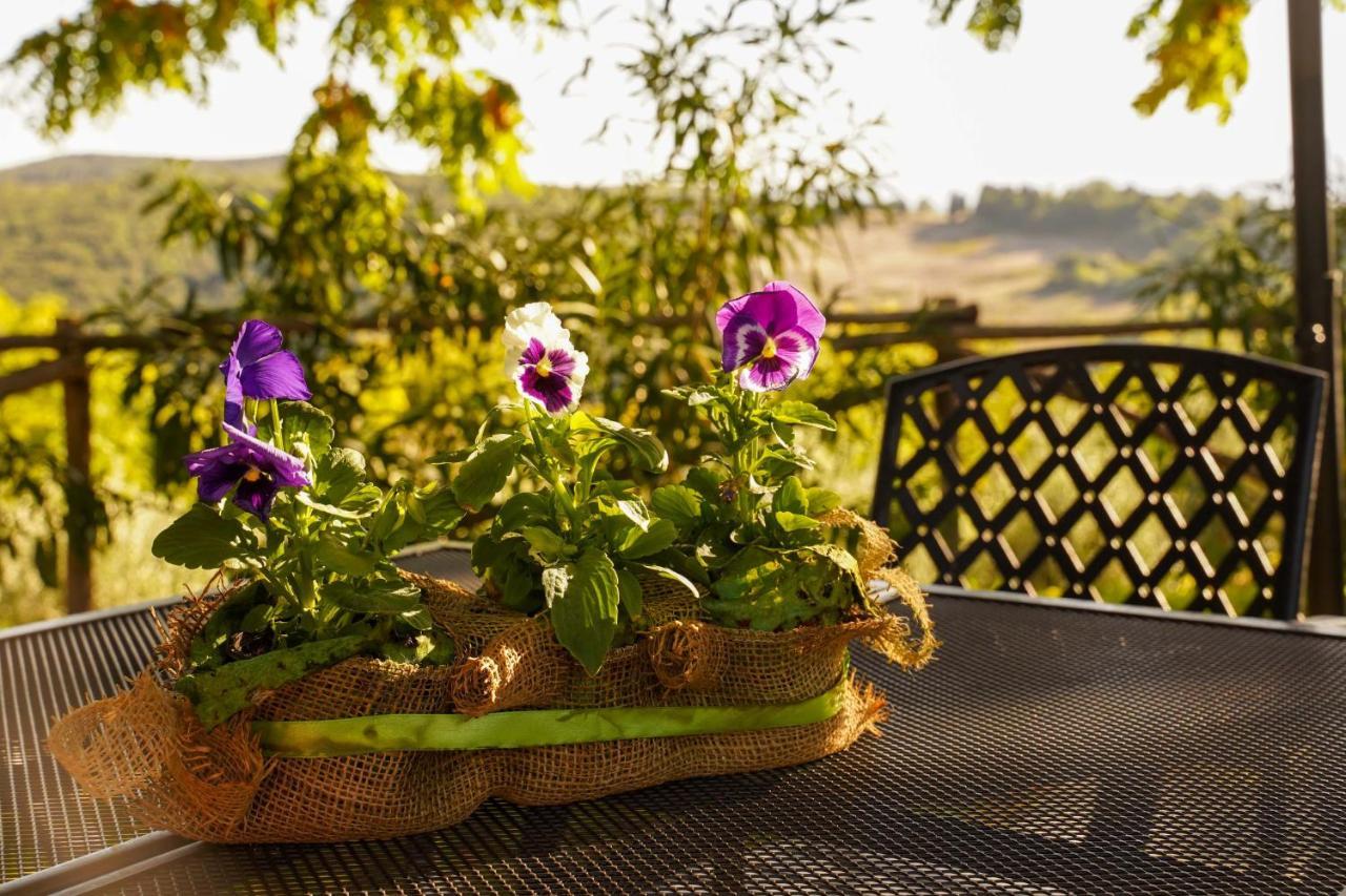 Agriturismo Podere Luchiano Amelia Zewnętrze zdjęcie
