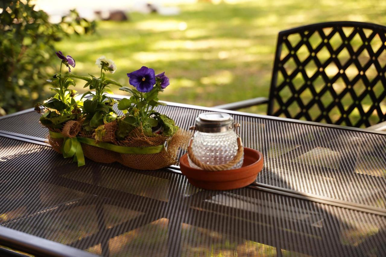 Agriturismo Podere Luchiano Amelia Zewnętrze zdjęcie