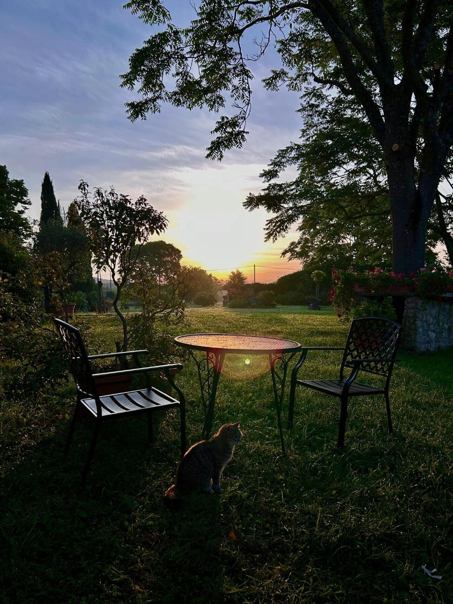 Agriturismo Podere Luchiano Amelia Zewnętrze zdjęcie