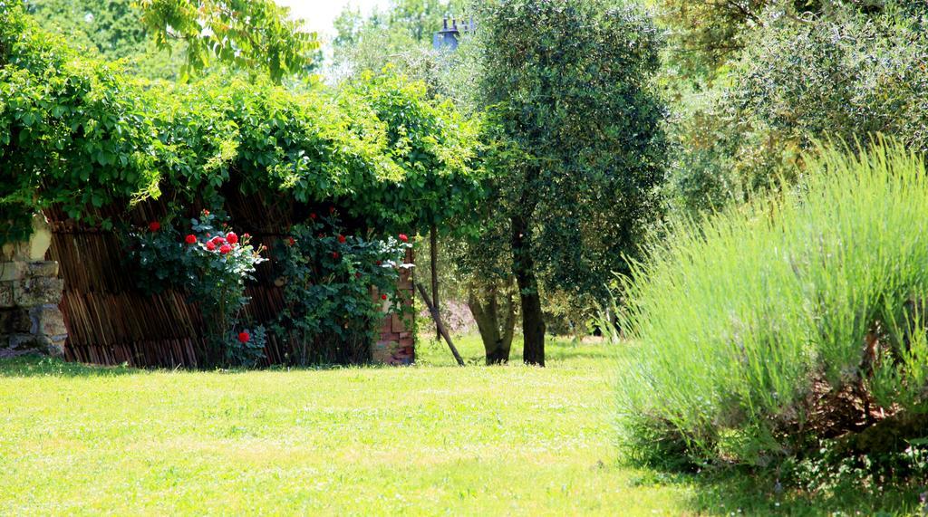 Agriturismo Podere Luchiano Amelia Zewnętrze zdjęcie