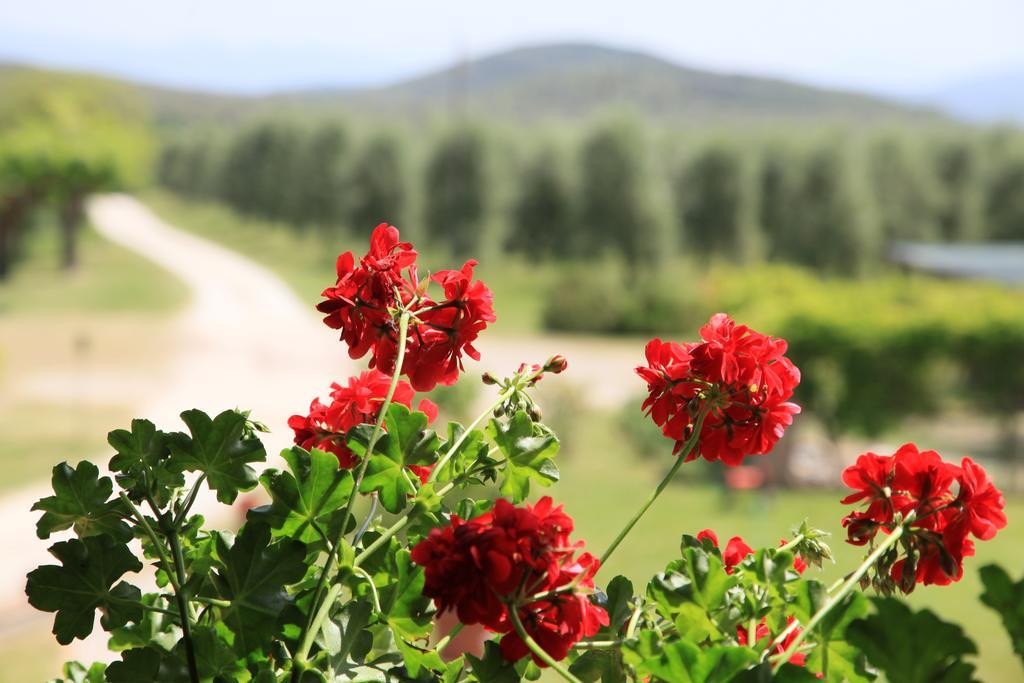 Agriturismo Podere Luchiano Amelia Zewnętrze zdjęcie