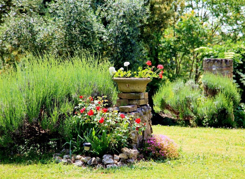 Agriturismo Podere Luchiano Amelia Zewnętrze zdjęcie