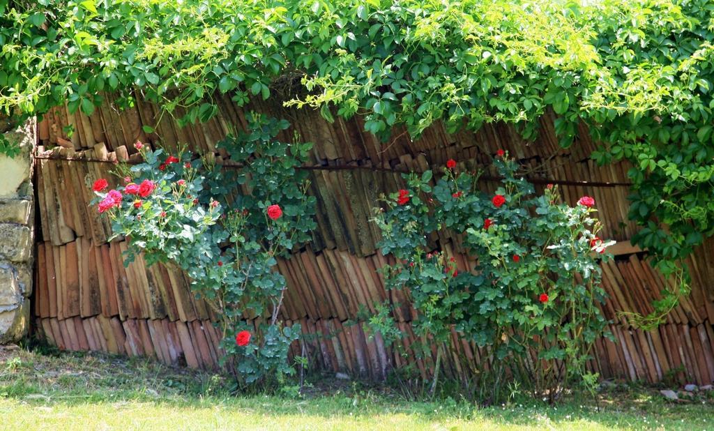 Agriturismo Podere Luchiano Amelia Zewnętrze zdjęcie