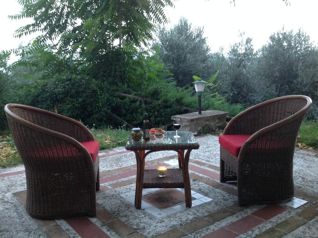 Agriturismo Podere Luchiano Amelia Zewnętrze zdjęcie