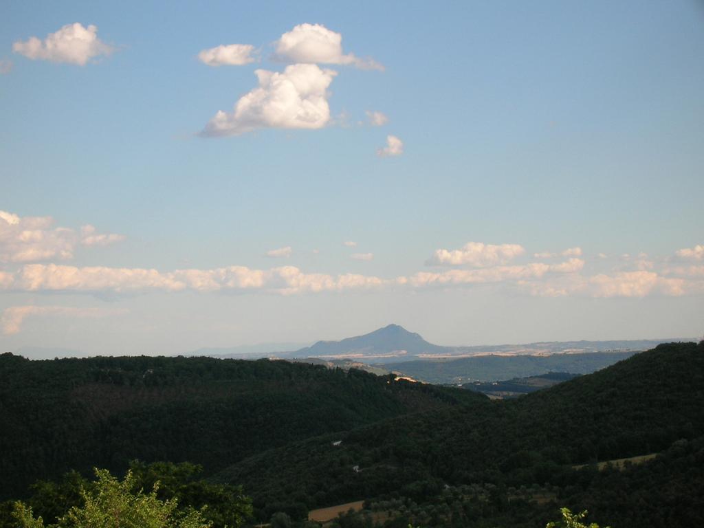 Agriturismo Podere Luchiano Amelia Zewnętrze zdjęcie
