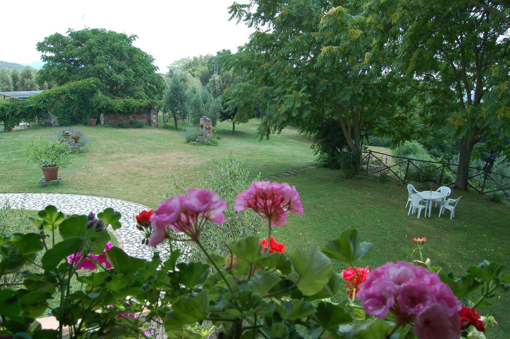 Agriturismo Podere Luchiano Amelia Zewnętrze zdjęcie