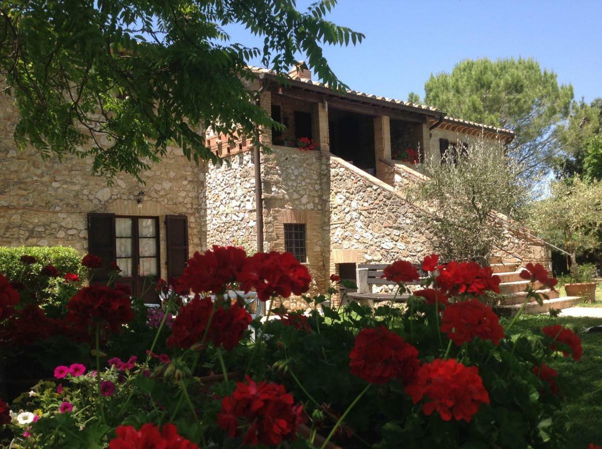 Agriturismo Podere Luchiano Amelia Zewnętrze zdjęcie