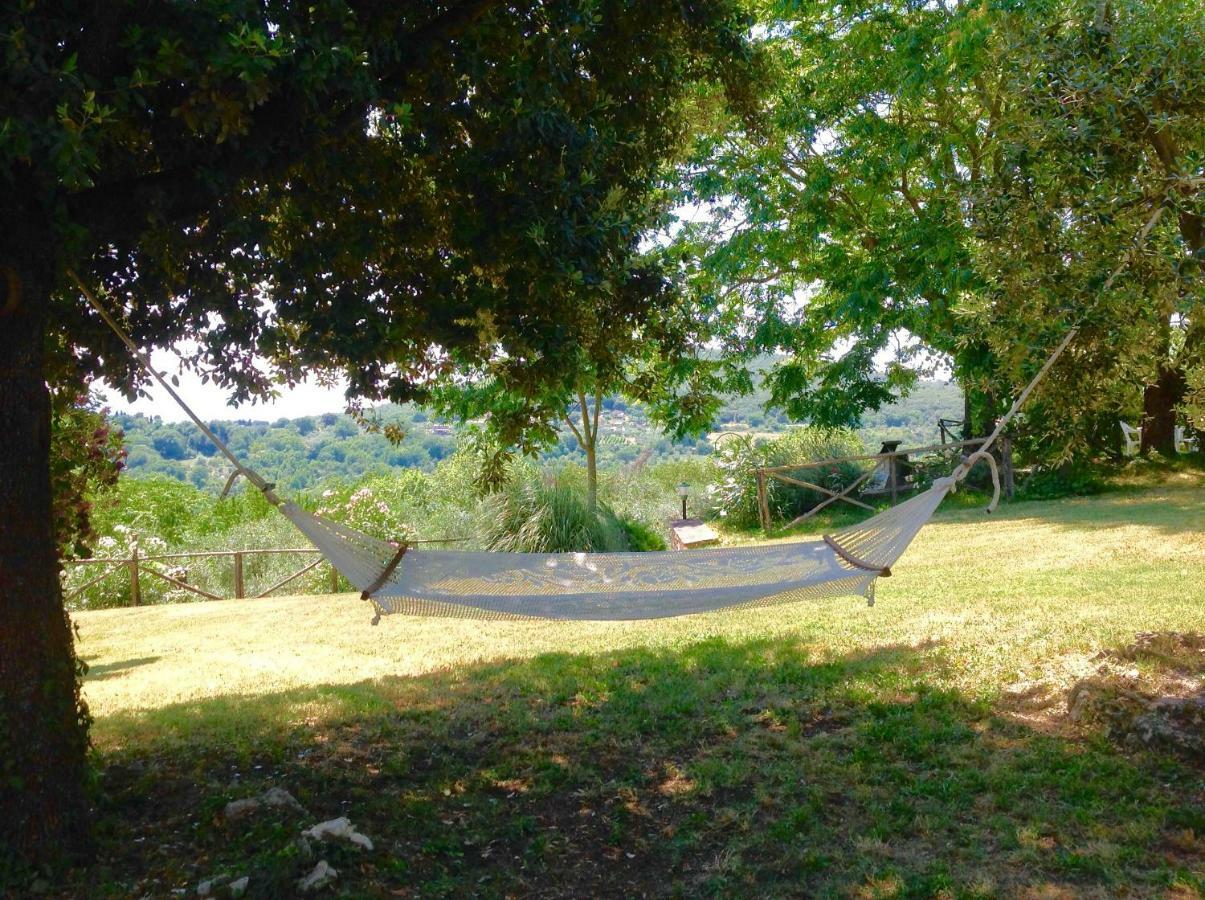 Agriturismo Podere Luchiano Amelia Zewnętrze zdjęcie