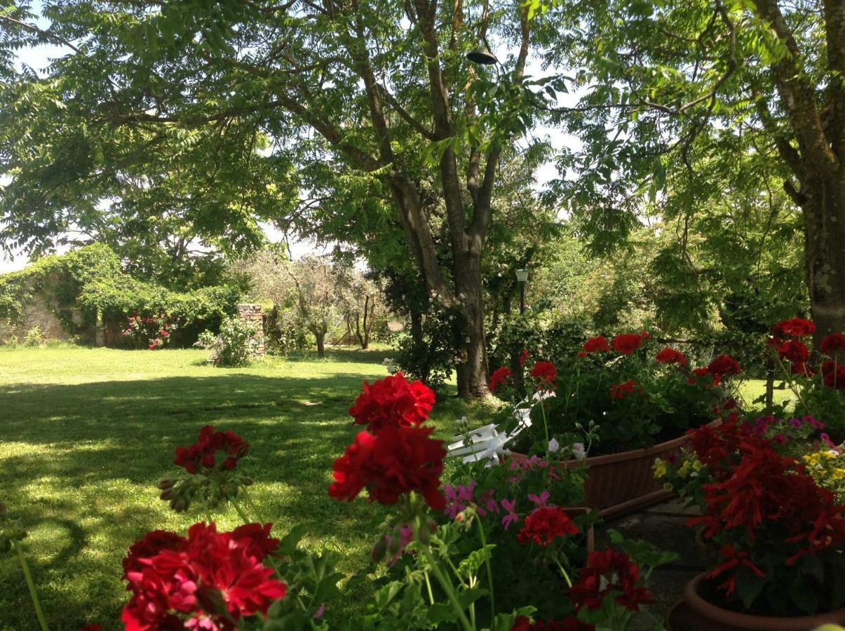 Agriturismo Podere Luchiano Amelia Zewnętrze zdjęcie
